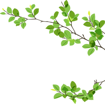 bg-leaf